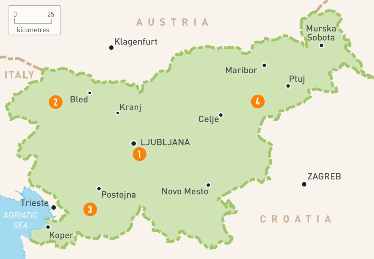 Mapa de Eslovenia rexións